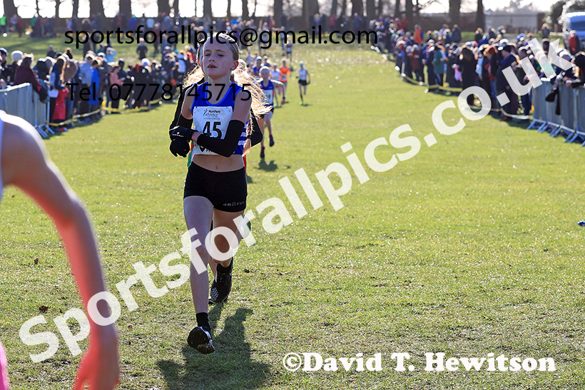 Girls under-13s 2025 Northern Cross Country Champs, Tatton Park, Knutsford, Cheshire. Photo: David T. Hewitson/Sports for All Pics